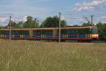 Die S1 bei Karlsruhe/Neureut unterwegs Richtung Bad-Herrenalb (10.6.2012)