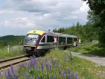 Desiro VT 642 346  Rose von Sebnitz  der St�dtebahn Sachsen als SBS 32720 Kurort Altenberg - Heidenau beim Passieren des Bahn�berganges Hohe Stra�e; 09.06.2012
