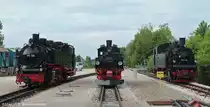99 788, 99 608 und 99 716 im Bahnbetriebswerk von Warthausen. �chsle Schmalspurbahn am 19.5.2012.
