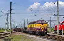 CFL 1815 ist eine von nur noch 3 sich im Dienst befindlichen Loks der BR 1800. Am 2. Juni 2012 ist sie mit einem Zug aus Stahltr�gerwagen in Bettembourg angekommen und bef�rdert ihn auf eines der zahlreichen Abstellgleise.
Rechts, geniesst CFL 1506 ihr Wochenende.
