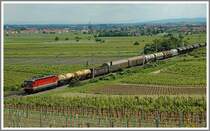 1X44 mit einem G�terzug von Wr. Neustadt kommend Richtung Wien am 10.6.2006 zwischen Pfaffst�tten und Gumpoldskirchen.