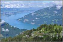 Zum Glck ist die Schynige Platte Bahn rot, sonst she man sie nicht, wie sie aus dem Grtlitunnel hoch ber dem Thunersee auftaucht. Zug 649 auf der Stepfegg. (27.06.2012)