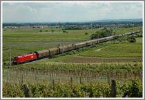 1X16 am 10.6.2006 mit einem G�terzug auf dem Weg nach Wien kurz nach Pfaffst�tten und kurz vor Gumpoldskirchen.
