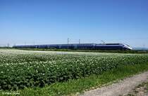 SNFC TGV 4701 auf Messfahrt zwischen Straubing und Plattling, KBS 880 Passau - Nrnberg, fotografiert bei Strakirchen am 29.06.2011