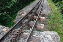 Speziell f�r Armin nochmals ein BRB-Schienenbild: Mini-Br�cke mit Holz-Schwellen, dahinter folgen die Y-Schwellen. W�hrend Daniel Blatter da einfach dr�ber l�uft, muss ich es zwangsl�ufig auf allen Vieren probieren... 13. Juli 2012, 14:50