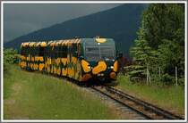 Kurz vor Puchberg am Schneeberg konne ich am 10.6.2006 einen talw�rts fahrenden Salamder der Schneebergbahn fotografieren.