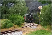 764.411R Model Resita Nr. 619 (ehemalige rum�nische Waldbahnlokomotive) des Stainzer Flascherlzuges bei der Ausfahrt aus Preding. 
18.07.2010 

