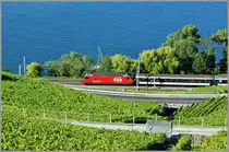 Z�gig geht's am See entlang.
(18.07.2012)