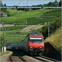 Re 460 089-6 mit IC unterwegs nach St.Gallen bei Grandvaux.
(18.07.2012)