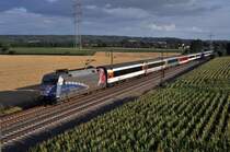 DB Fernverkehr 101 060  60 Jahre Bundespolizei  mit dem aus SBB-Wagen gebildeten IC 100 Chur (CH) - Hamburg-Altona (Marl, NI, 21.07.12). 