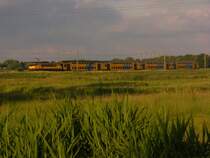 Doppelstockgarnitur mit 1713 fahrt dem Naardermeer Naturgebiet ein richtung Naarden-Bussum als Sprinter nach Utrecht CS am Abend des 18.6.12