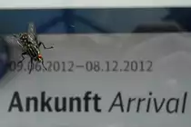 Entschulgsen mal, Fr�hlein. Ist der ICE aus Frankfurt heute p�nklich? So gesehen am gestrigen Tage in Regensburg