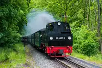 99 4801 im Juni 2012 zwischen Baabe und G�hren.
