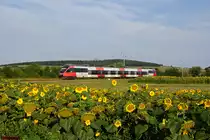 4124 008  VOR  f�hrt als REX2811 von Wien Meidling nach Deutschkreutz. Baumgarten im Burgenland, 05.08.2012