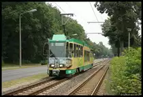 Ein ex-Cottbusser am 5.8.12. in Friedrichshagen.