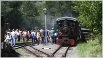Dampftag 2012 auf der Gurkthalbahn - Die B�hler 13 von Krauss M�nchen (Bj 1941) ist soeben in P�ckstein-Zwischenw�ssern angekommen.  
5.8.2012