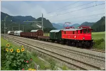 1245.518 f�hrt mit Fotozug SGAG 17243 von Nettingsdorf nach Spital am Pyhrn. Danke nochmals an Alex Loidl & die �GEG f�r diese wunderbare Veranstaltung! Bf.Piesling-Vorderstoder 8_2012
