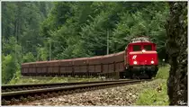 1020.37 schl�ngelt sich mit dem Plang�terzug SGAG 17256  von Eisenerz nach Bischofshofen, durch das wundersch�ne Erzbachtal.
Radmer 11.8.2012