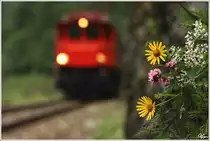 Impression aus dem Erzbachtal - An schroffen, mit Blumen geschm�ckten Felsw�nden vorbei, f�hrt 1245.518 von Eisenerz nach Hieflau.
Radmer 11.8.2012  