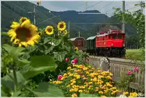Die Pyhrnbahn von ihrer sch�nsten Seite - 1245.518 steht mit dem Fotozug SGAG 17243 (Nettingsdorf - Spital am Pyhrn) im Bahnhof Piesling-Vorderstoder. 
8_2012