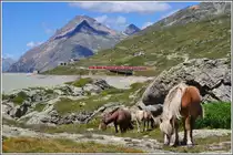 Da wird der R1648 nach St.Moritz zur Nebensache. (11.08.2012)