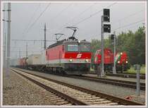 1144 278 hat sich gerade vor den Zug, den D3 zuvor bereitgestellt hat, gesetzt, und wird Kalsdorf-S�d in k�rze verlassen. Die Aufnahme entstand am 3.7.2006 beim Auf- und gleichzeitigem Abb�geln. Durch den automatischen Sta-Wechsel der mit aktivieren des anderen F�hrerstandes eingeleitet wird, gelang mir diese Aufnahme.