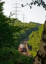 640 007 ein LINT 27 der DreiL�nderBahn als RB 95 (Au/Sieg  - Betzdorf - Siegen - Dillenburg) �berquert hier am 19.08.2012, kurz vor dem 32 m langen M�hlburg-Tunnel (wird auch M�hleberg-Tunnel genannt), die Sieg um sie gleich hinter dem Tunnel wieder zu �berqueren danach kommt dann der Bf Scheuerfeld/Sieg. Die Fahrtrichtung ist Siegen.