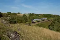 Agilis nach Neumarkt/Oberpfalz auf der gro�en St�tzmauer in Laaber.(18.8.2012)