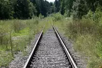 Stillgelegte Thayatalbahn, Gleisanlagen im ehemaligen Bahnhof Waldkirchen/Thaya. Aufgenommen am 5. August 2012.