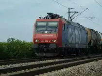Re 482 006-4 kam am 14.08.2012 mit einem Kesselwagenganzzug an mir vorbei. Hier ist der Zug kurz vor M�llheim (Baden).