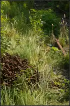  Altes Eisen  in Berlin Tegel am 22.08.2012