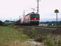 Am 07.07.2006 Fahren 1144 206 + 1116 157  mit ihrem G�terzug der am Zugende noch 1044 065 mit hatte in Richtung Linz durch den Bahnhof von Wartberg an der Krems.