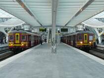 Sch�n zu erkennen auf diesem Bild der Unterschied zwischen den beiden Serien AM 62 und AM 65 : bei der Ersteren (links Triebzug 158) sind die Lampen vertikal angeordnet, w�hrend bei den AM 65 (rechts Triebzug 259) die Lampen horizontal angebracht sind. Das Bild entstand am 27/12/2008 im Bhf Li�ge-Guillemins.