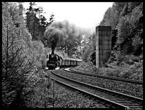 Ein kleines Jubil�um f�r mich: Mein 50. Bild bei bahnbilder.de. Ich m�chte mich bei allen hier auf Bahnbilder f�r die nette Gemeinschaft und Freundlichkeit bedanken! Zum Bild: Ich hab hier (f�r mich) ein ganz besonderes Bild ausgesucht. Es entstand am 23. Mai 2010 beim Jubil�um 175 Jahre deutsche Eisenbahn auf der Schiefen Ebene. Leider waren damals meine fotografischen F�higkeiten und Kenntnisse noch nicht ganz so gut, weshalb ich dieses Bild im nachhinein noch schwarz/wei� bearbeitete... Zusehn ist die 41 018 der Dampflok-Gesellschaft M�nchen (DGM) und der Zug der Fr�nkischen Museums-Eisenbahn (FME). Am Zugschluss schob 52 8195-1 der FME noch nach (nicht zu sehn).
