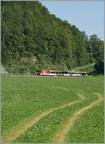 Ein  GoldenPass  Br�nig-Zug erreicht die Kreuzungsstation  K�ppeli . 
20. August 2012