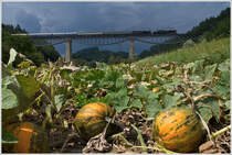 Anl�sslich des Jubil�ums  175 Jahres Eisenbahn in �sterreich  fuhr die IGE eine Eisenbahn-Romantik-Rundfahrt quer durch �sterreich. Hier ziehen die beiden Dampfloks, 52.100 & 33.132 den SE 17198 von Graz Gkf �ber den Wechsel nach Wien S�d-Ostseite. 
Lafnitz Viadukt bei Rohrbach-Vorau 21.8.2012 