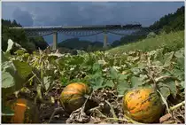 Anl�sslich des Jubil�ums  175 Jahres Eisenbahn in �sterreich  fuhr die IGE eine Eisenbahn-Romantik-Rundfahrt quer durch �sterreich. Hier ziehen die beiden Dampfloks, 52.100 & 33.132 den SE 17198 von Graz Gkf �ber den Wechsel nach Wien S�d-Ostseite. 
Lafnitz Viadukt bei Rohrbach-Vorau 21.8.2012 