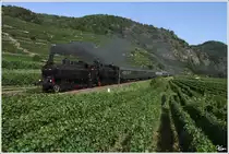 93.1420 & 93.1421 ziehen den IGE Sdz 17202 von Wien S�dbahnhof-Ostseite �ber Sigmundsherberg nach Spitz an der Donau. Ab Sigmundsherberg waren die beiden 93er am Zug.
D�rnstein 22.8.2012