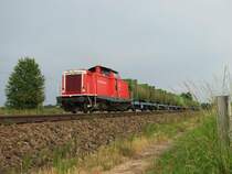 213 333 mit GIP 27494 in Tling (19.06.2006)