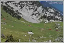 Dank dem Lokf�hrer des letzten Triebwagens, der etwas zu schnell fuhr, passten alle vier Wagen aufs Bild. Zwischen Aemsigen^und Pilatus Kulm. (27.08.2012)