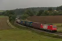 185 399 kam am 1.9.2012 mit einem LKW Walterzug in Edlhausen vorbei.