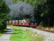 'Molli' - 99 2321 am 17.08.12 kurz nach der Ausfahrt aus Heiligendamm in Richtung Bad Doberan