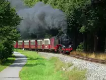 'Molli' - 99 2321 am 17.08.12 kurz nach der Ausfahrt aus Heiligendamm in Richtung Bad Doberan