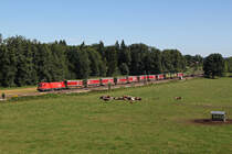1116 080 mit einem KLV Zug am 28.08.2012 bei �bersee.