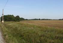 2.9.2012 n�rdlich von Ducherow. Ehemaliger Bahndamm / Ausf�delung der Strecke nach Swinem�nde / Karniner Hubbr�cke