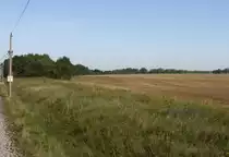 2.9.2012 n�rdlich von Ducherow. Ehemaliger Bahndamm / Ausf�delung der Strecke nach Swinem�nde / Karniner Hubbr�cke