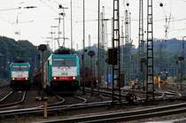 Die Cobra 2812 steht in Aachen-West mit einem Autozug und wartet auf die Abfahrt nach Belgien.
Und auf dem Nebengleis steht die Cobra 2829 mit einem Autozug und wartet auf die Abfahrt nach Belgien bei Wolken am 2.9.2012.