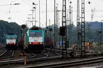 Die Cobra 2812 steht in Aachen-West mit einem Autozug und wartet auf die Abfahrt nach Belgien.
Und auf dem Nebengleis steht die Cobra 2829 mit einem Autozug und wartet auf die Abfahrt nach Belgien bei Wolken am 2.9.2012.