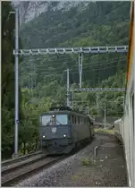 In D�rlingen kreuzt unser Regionalzug Spiez - Interlaken den von einer Ae 6/6 gezogene G�terzug.
20. Aug. 2012
