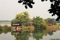 Der Traditionszug auf dem Damm ber die Dippelsdorfer Teiche. Fr dieses Motiv bin ich extra auf einen Baum geklettert! Das hohe Schilf rund um den Teich lsst dieses Foto sonst nicht zu. Alternative: Man msste es von einem Ruderboot aus machen.